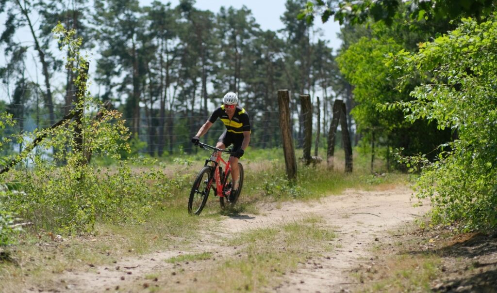 mountain bike trails for beginner