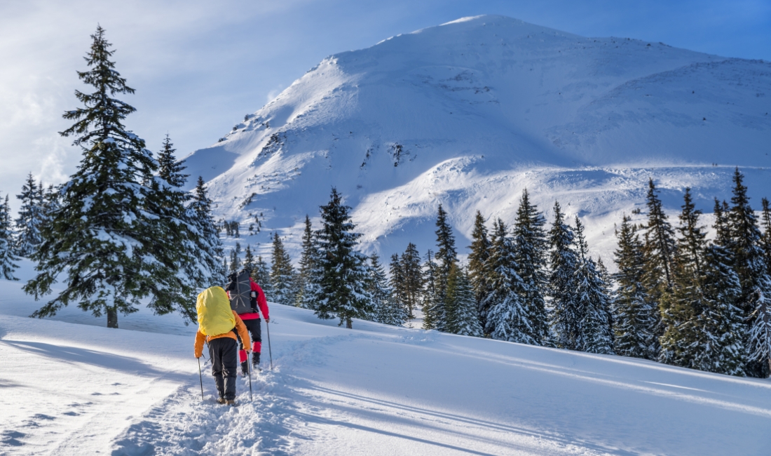 Best Winter Hikes near Anglers Reach