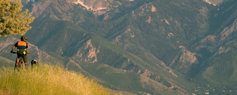 snowy mountains events