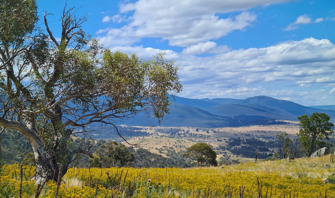 things to do in jindabyne