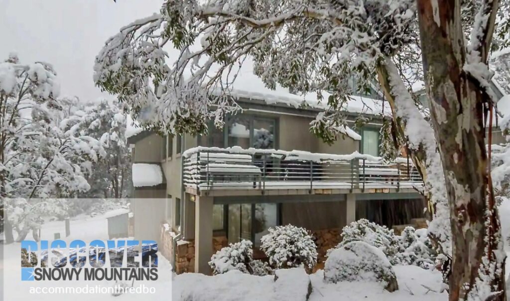 Wintergreen 3 – Thredbo