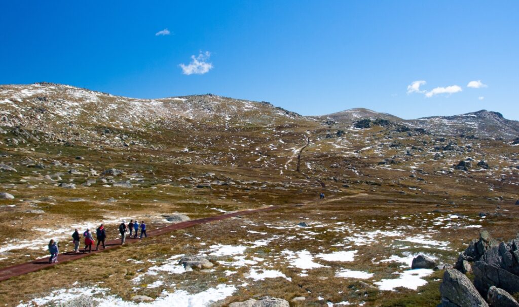 best things to do in kosciuszko national park in summer