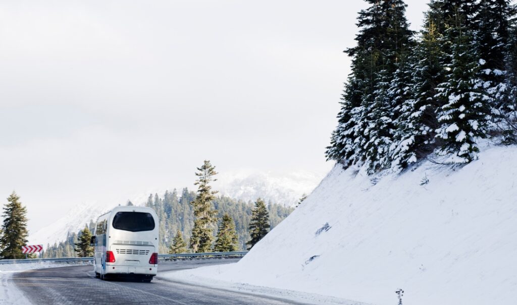 snowy mountain bus service